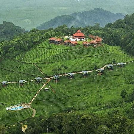 Wild Planet Jungle Resort Devala Exterior photo